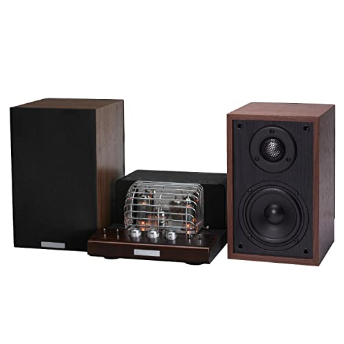 真空管アンプ SWL-T20U スピーカーセット 特典付き Amazon.co.jp: SOUNDWARRIOR 日本製 USB DAC 内蔵 真空管アンプ